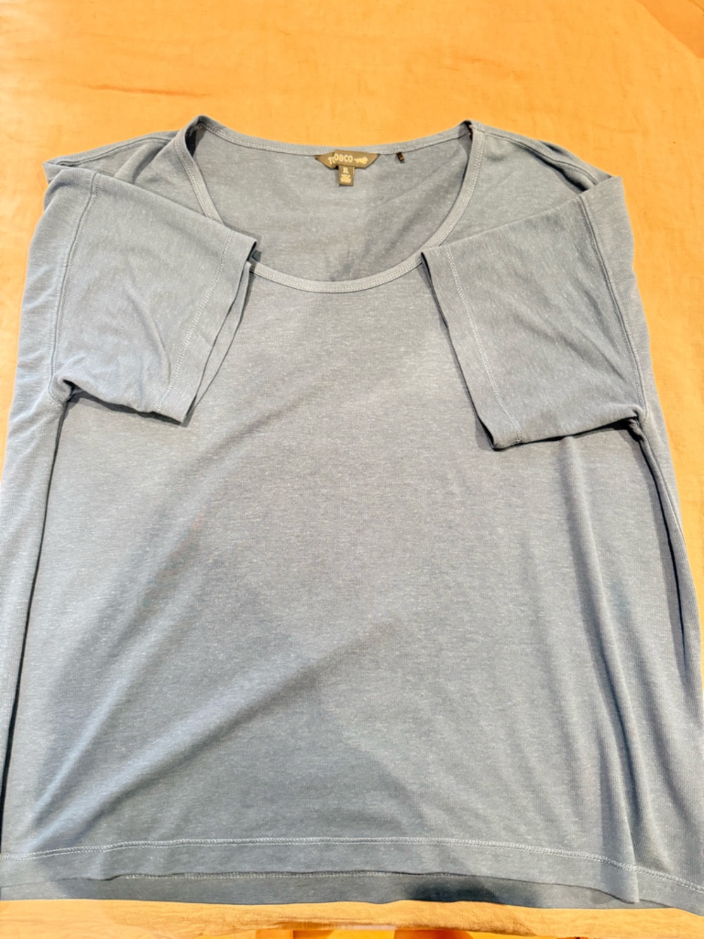 Toad&Co Blue Scoop Neck Tee
